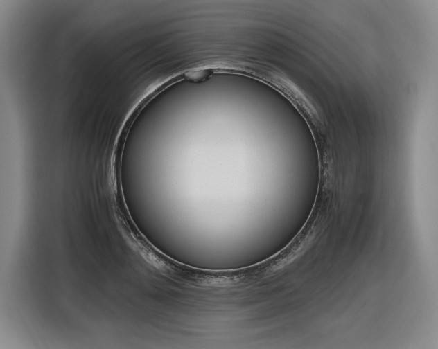 X0000116580892200912101307