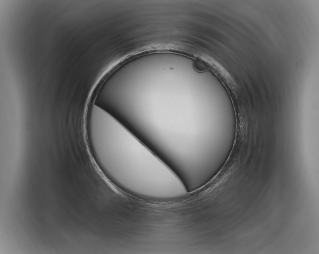 X0000116580894200912101307