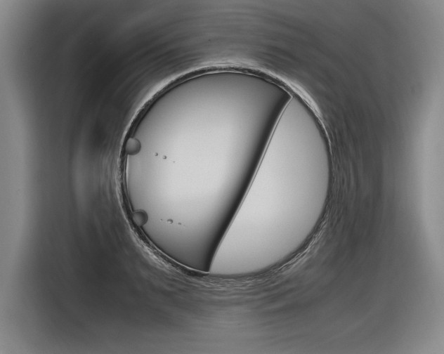 X0000116580895200912101307