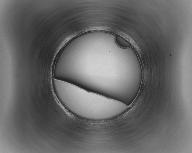 X0000116580898200912101307