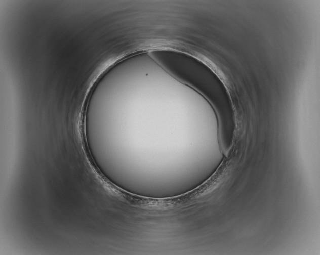 X0000116580901200912101307