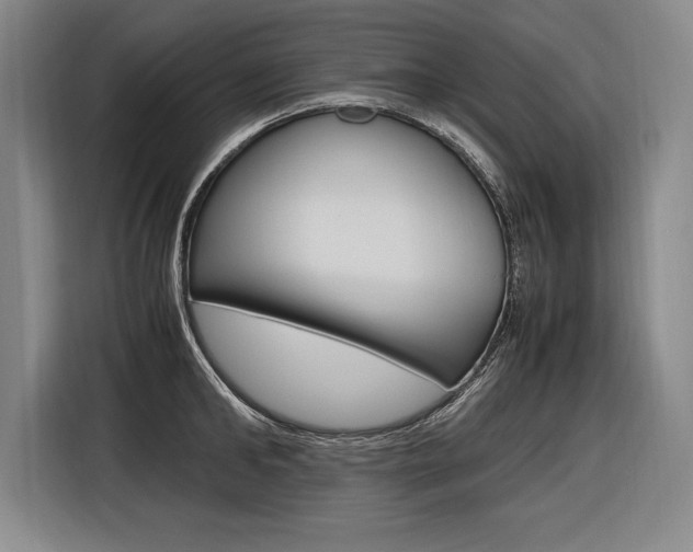 X0000116580902200912101307