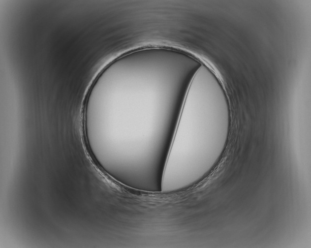 X0000116580903200912101307