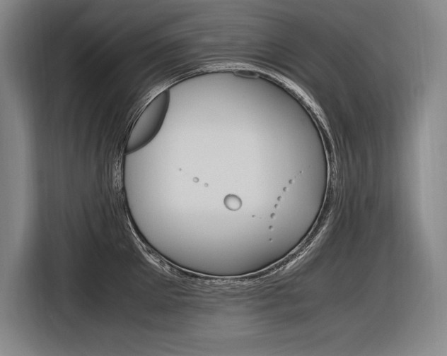 X0000116580905200912101307