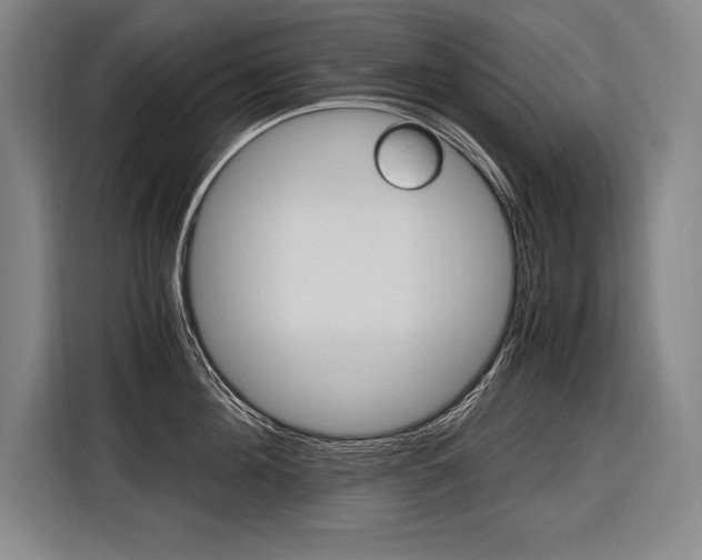 X0000116580908200912101307