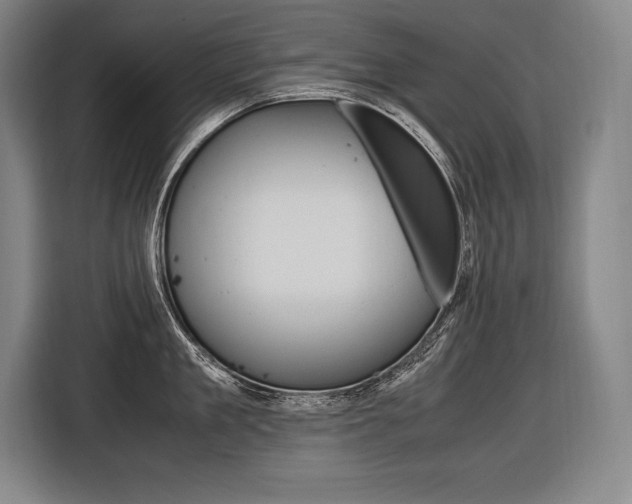 X0000116580909200912101307