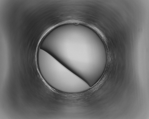 X0000116580910200912101307