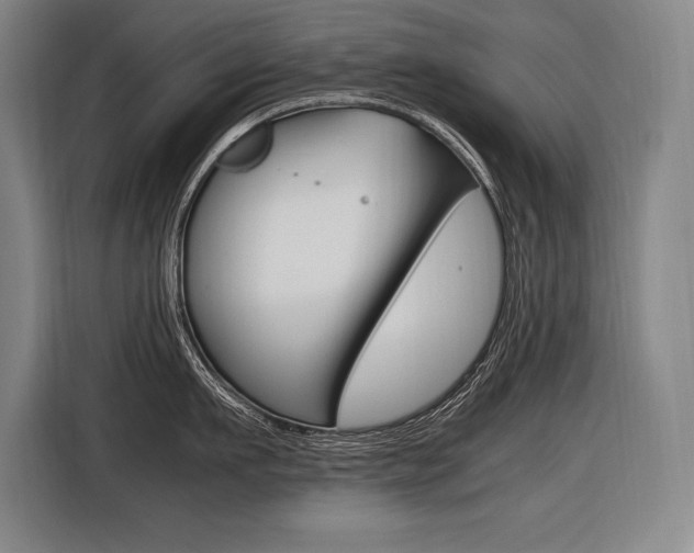X0000116580911200912101307