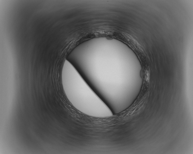 X0000116580915200912101306