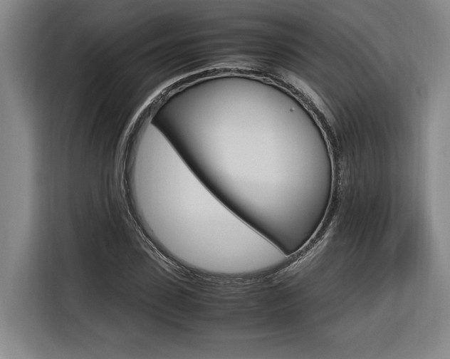 X0000116580923200912101306