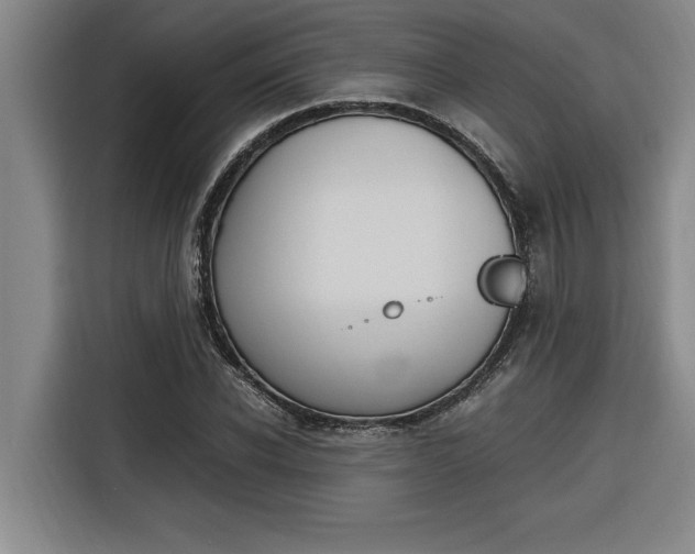 X0000116580926200912101306
