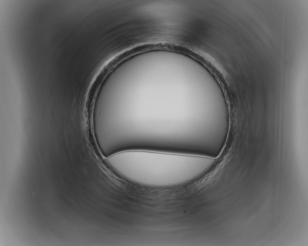 X0000116580927200912101306