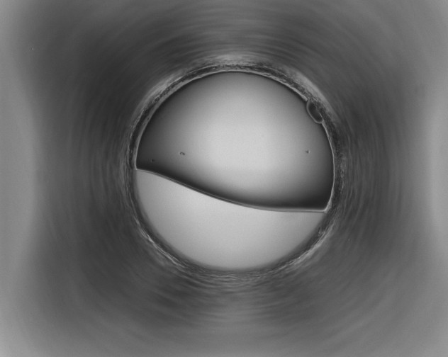 X0000116580930200912101306
