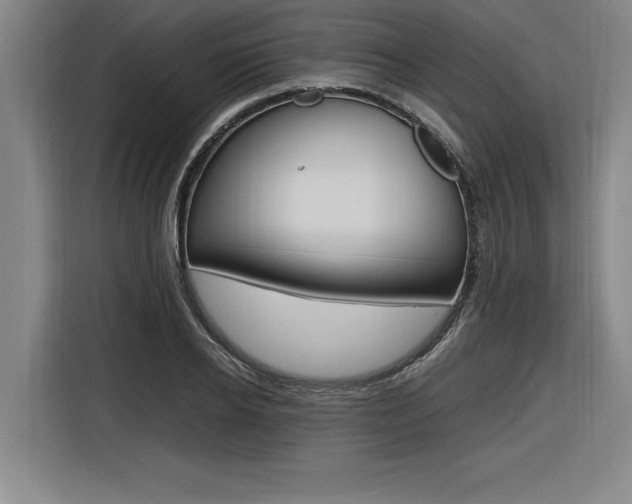 X0000116580934200912101306