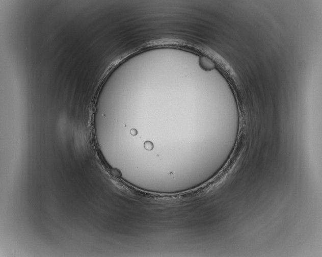 X0000116580937200912101306