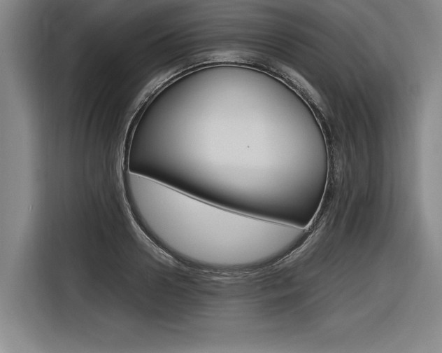 X0000116580938200912101306