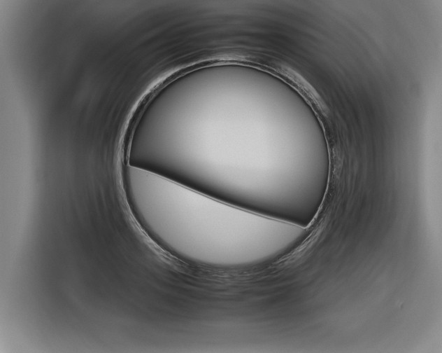 X0000116580939200912101306