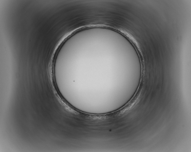 X0000116580941200912101306