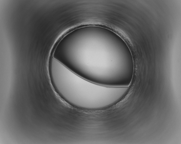X0000116580942200912101306