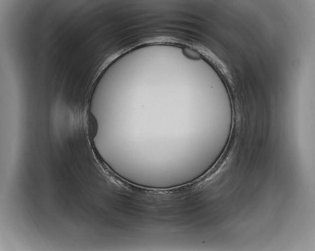 X0000116580945200912101306