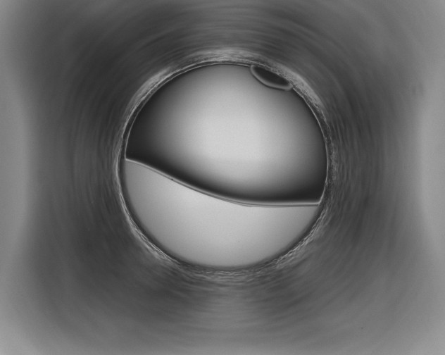 X0000116580946200912101306