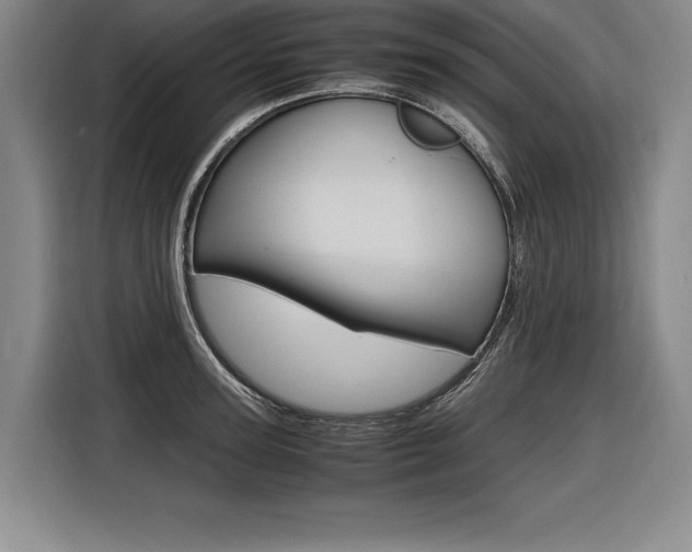 X0000116580947200912101306