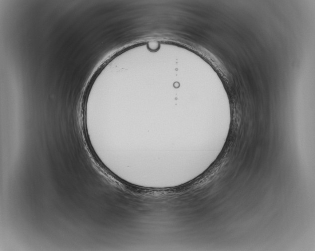 X0000116580950200912101306