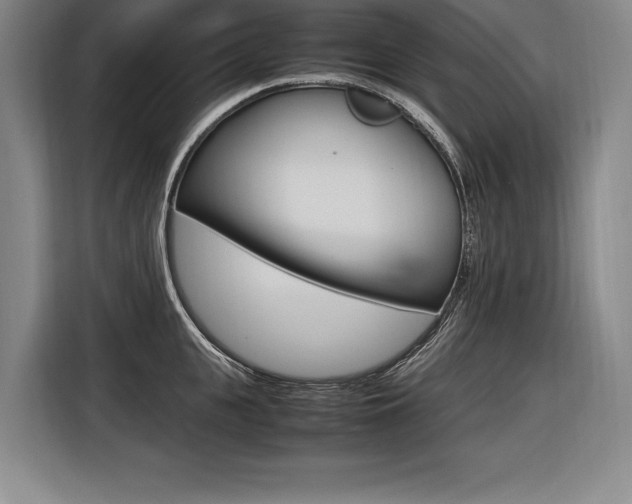X0000116580951200912101306