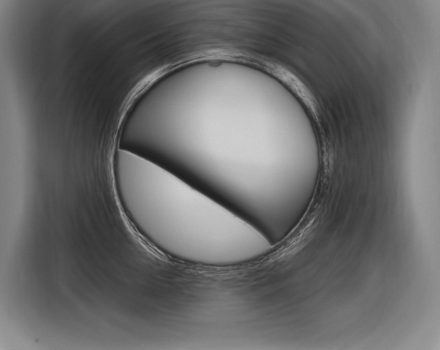 X0000116580954200912101306
