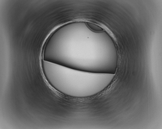 X0000116580955200912101306