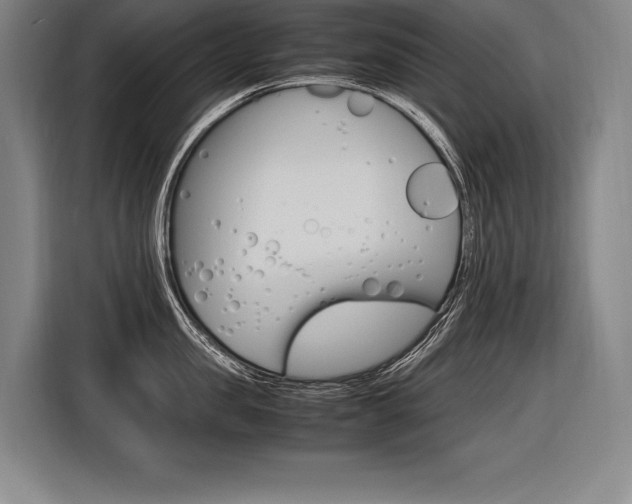 X0000116580957200912101307