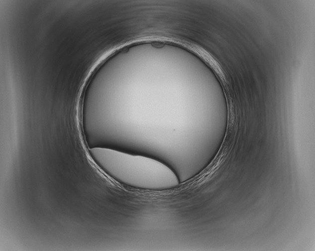 X0000116580958200912101307