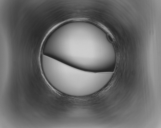 X0000116580959200912101307