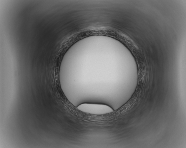 X0000116580966200912101306