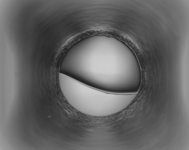 X0000116580968200912101306