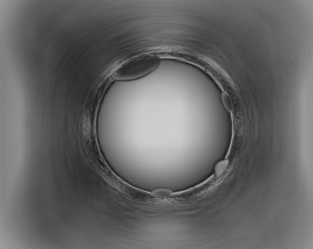 X0000116580969200912101306