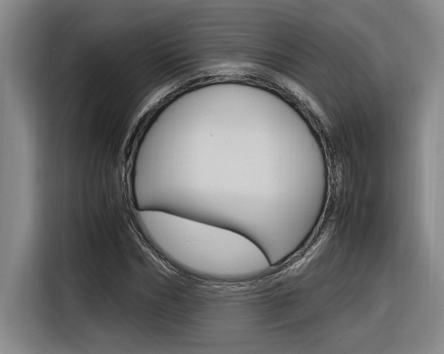 X0000116580970200912101306