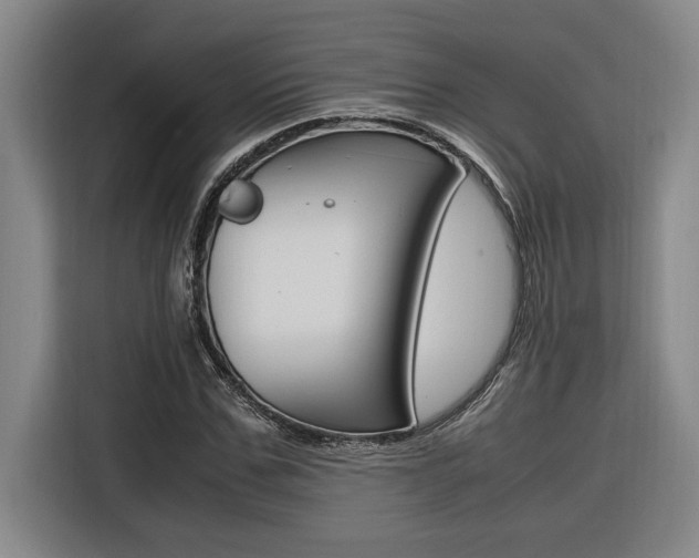 X0000116580971200912101306
