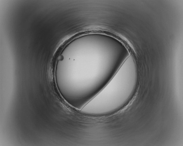 X0000116580973200912101306