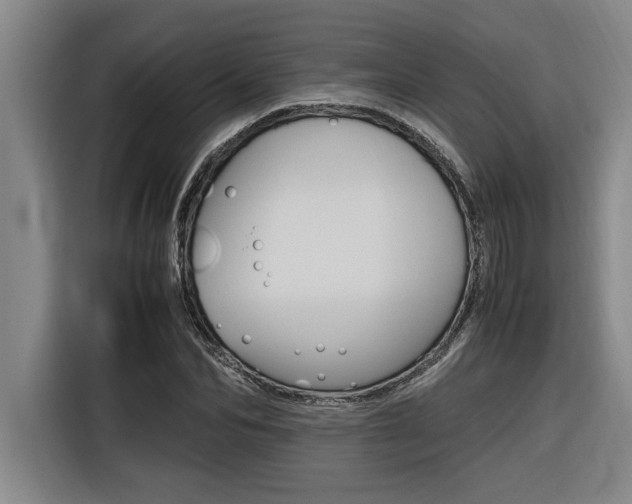 X0000116580974200912101306