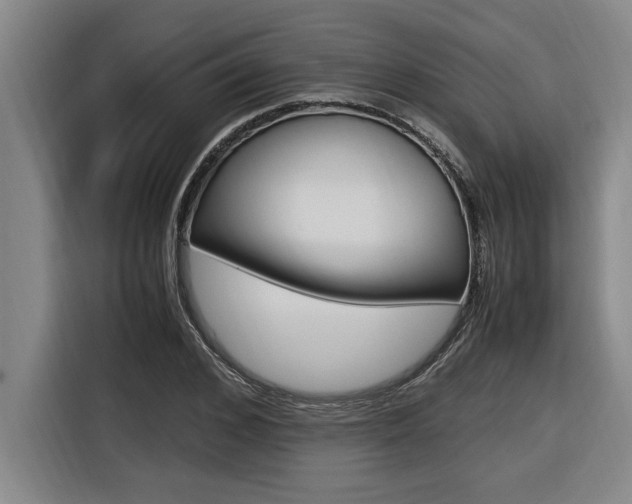 X0000116580976200912101306