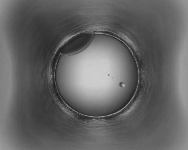 X0000116580981200912101306