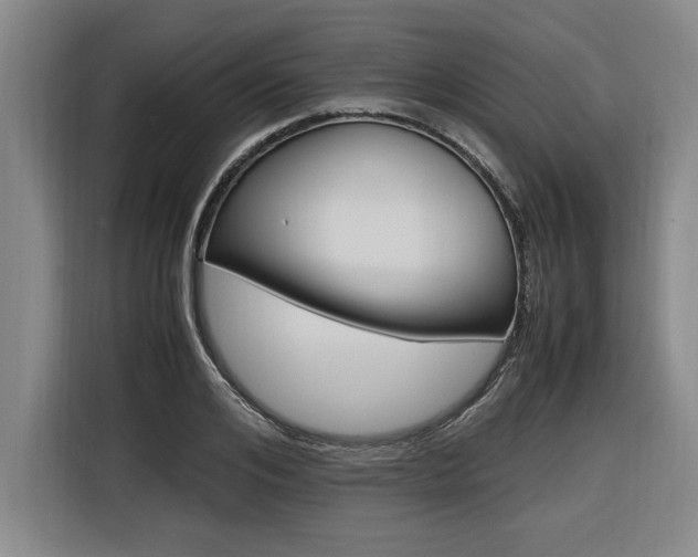 X0000116580984200912101306