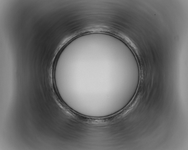 X0000116580986200912101306