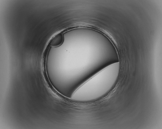 X0000116580987200912101305