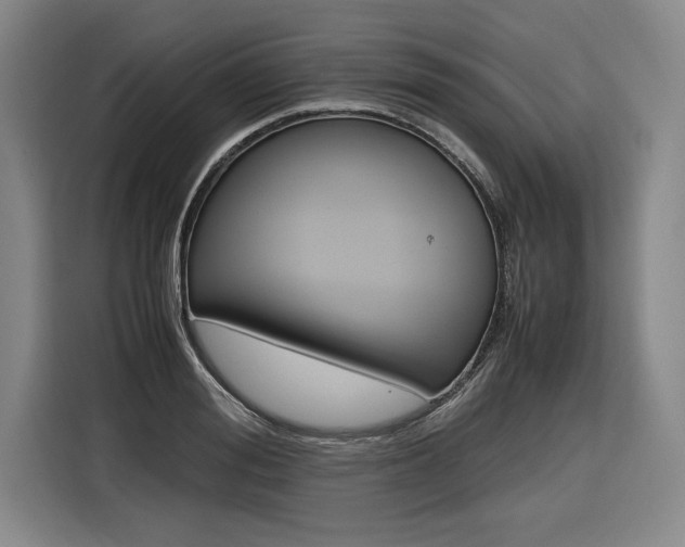 X0000116580988200912101305