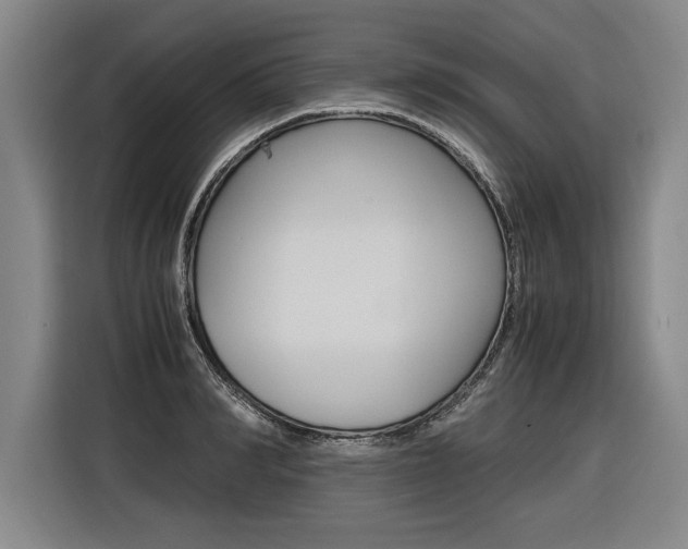 X0000116580990200912101305