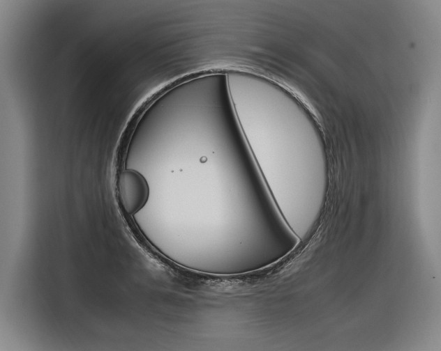 X0000116580991200912101305