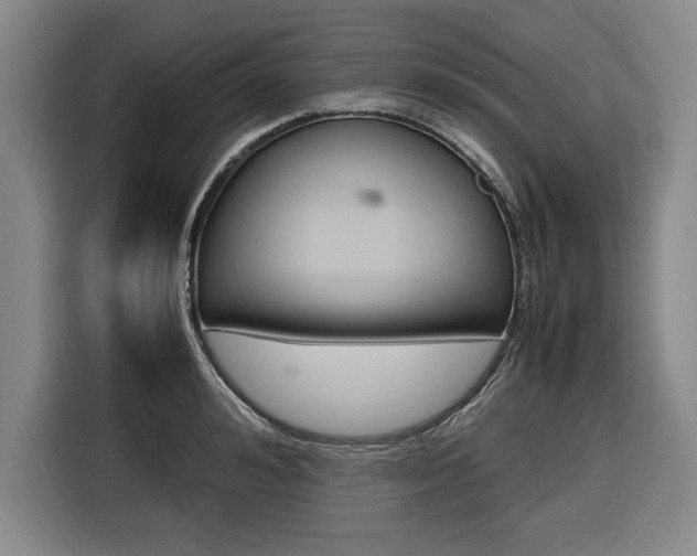 X0000116580992200912101305