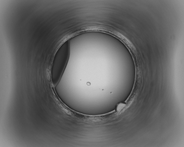 X0000116580993200912101305